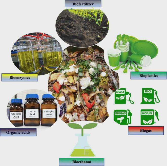 生物基材料:从自然到生活,一场"减塑捡塑"的绿色革命